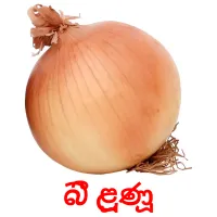 බී ළූණූ Bildkarteikarten