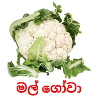 මල් ගෝවා ansichtkaarten