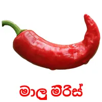 මාලු මිරිස් Bildkarteikarten