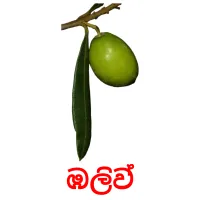 ඹලිව් ansichtkaarten