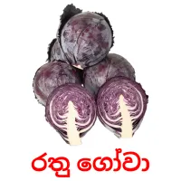 රතු ගෝවා ansichtkaarten