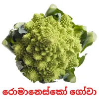 රොමානෙස්කෝ ගෝවා Bildkarteikarten