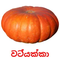 වට්යක්කා Bildkarteikarten