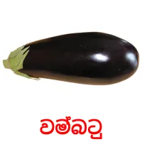 වම්බටු Bildkarteikarten