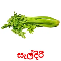 සැල්දිරි ansichtkaarten