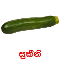 සුකීනි ansichtkaarten