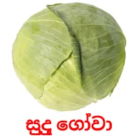 සුදු ගෝවා ansichtkaarten