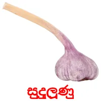 සුදුලූණු Bildkarteikarten