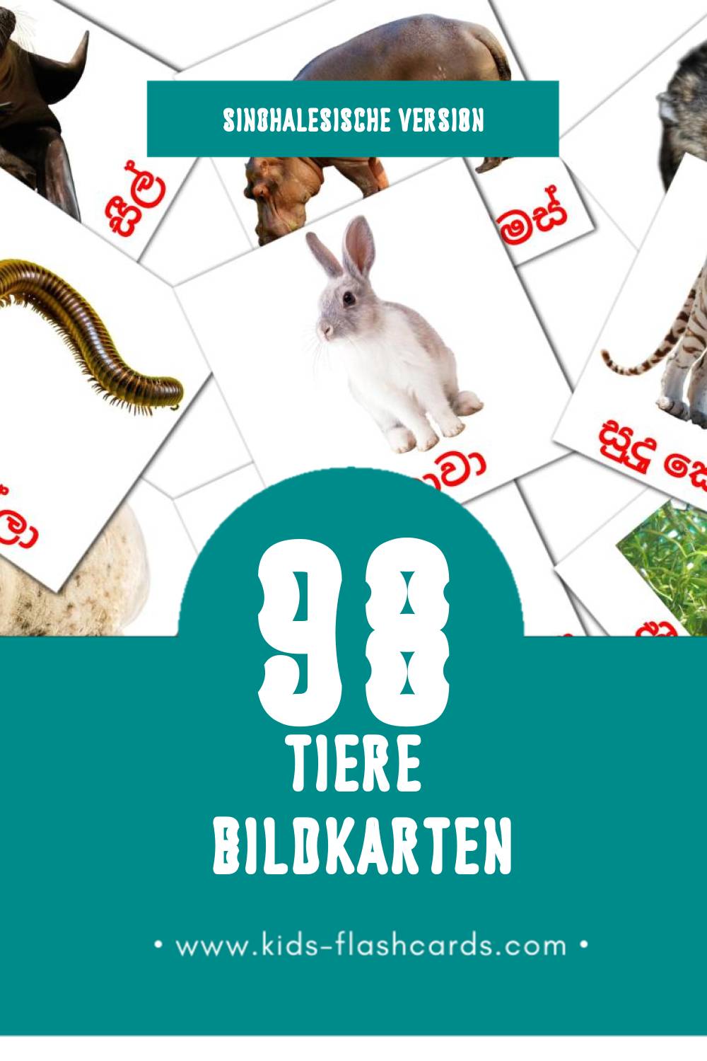 Visual සතුන්  Flashcards für Kleinkinder (98 Karten in Singhalesisch)