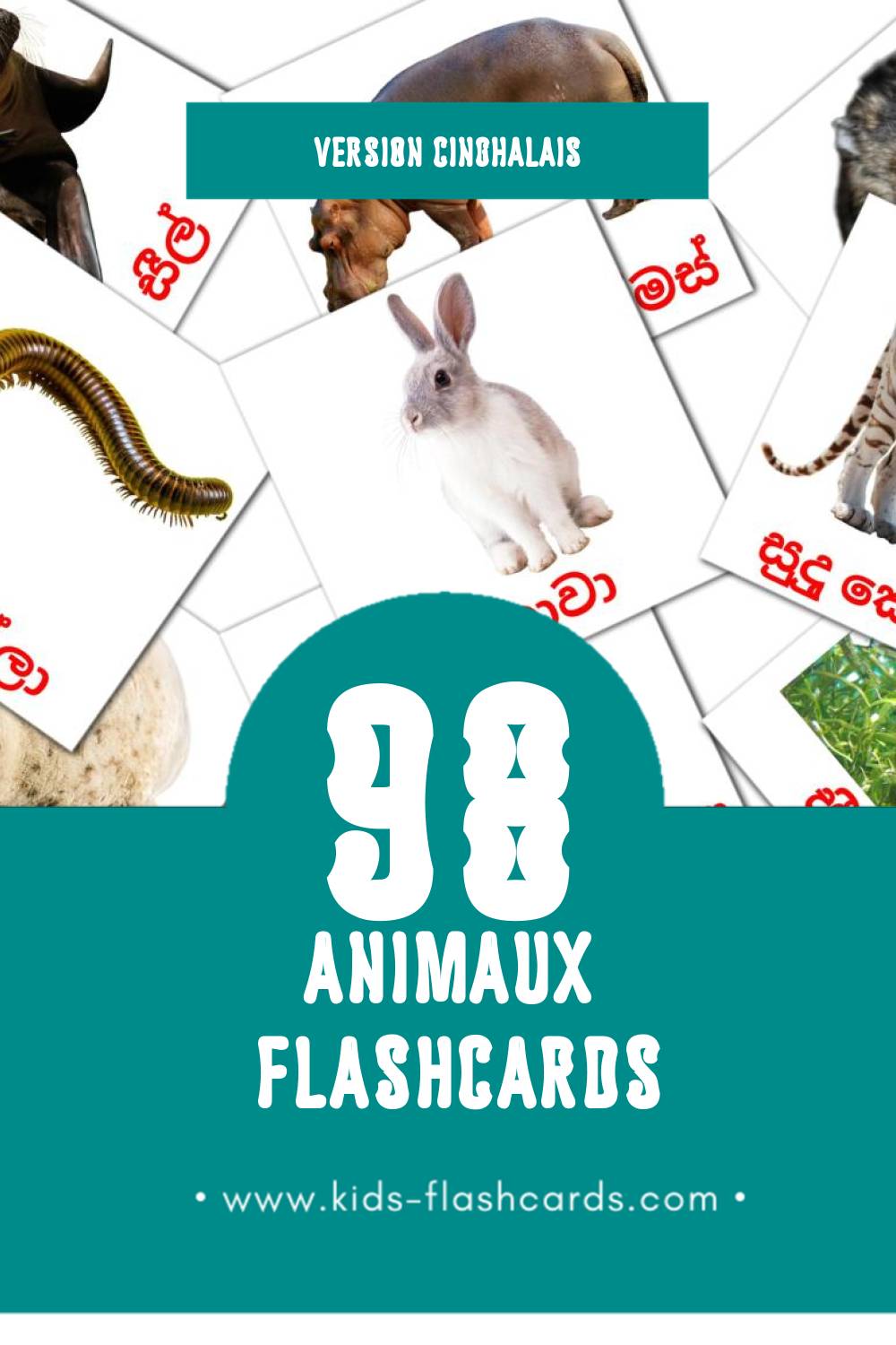 Flashcards Visual සතුන්  pour les tout-petits (48 cartes en Cinghalais)