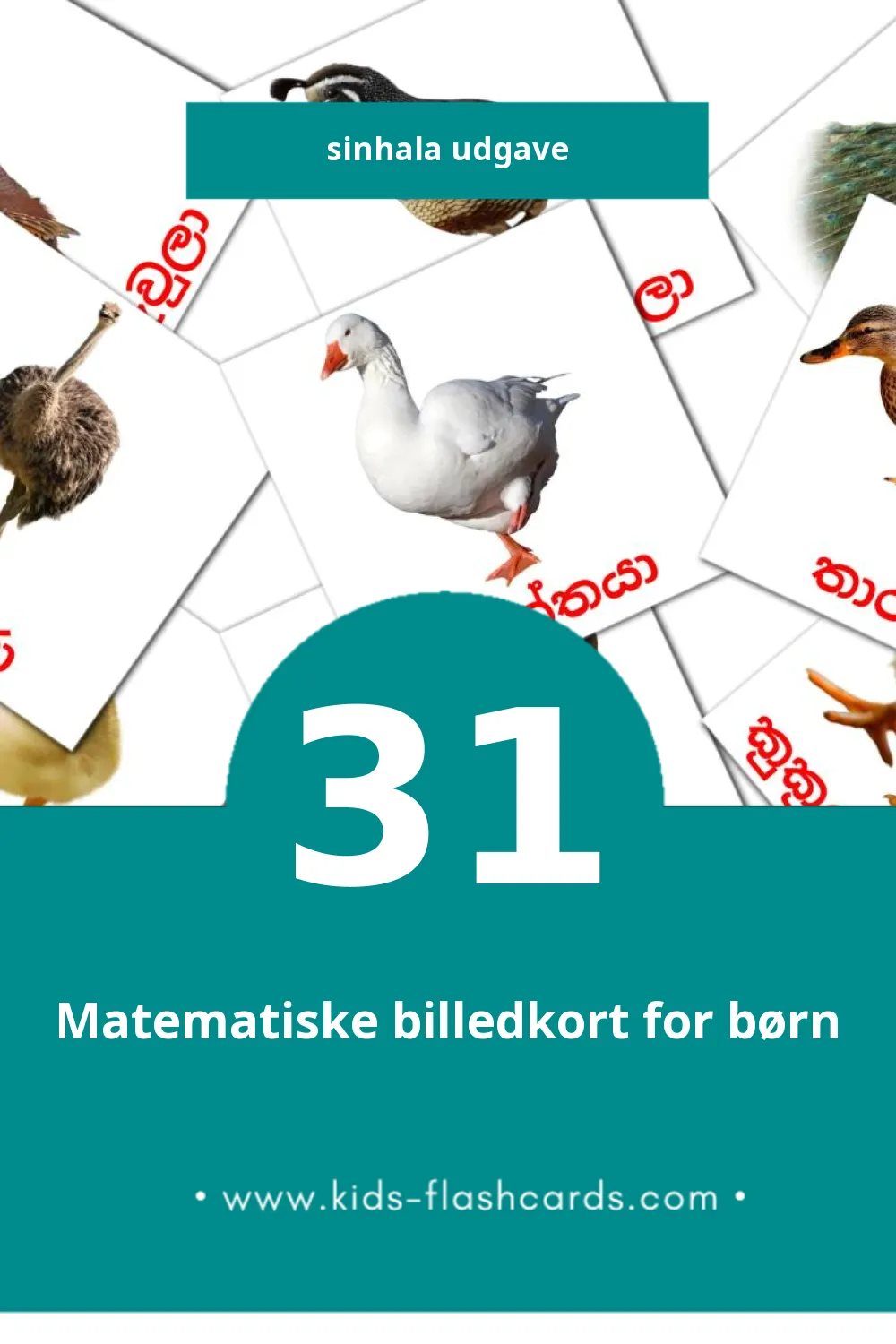 Visuelle billedkort for børn om කුරුල්ලන් til småbørn (31 kort på Sinhala)
