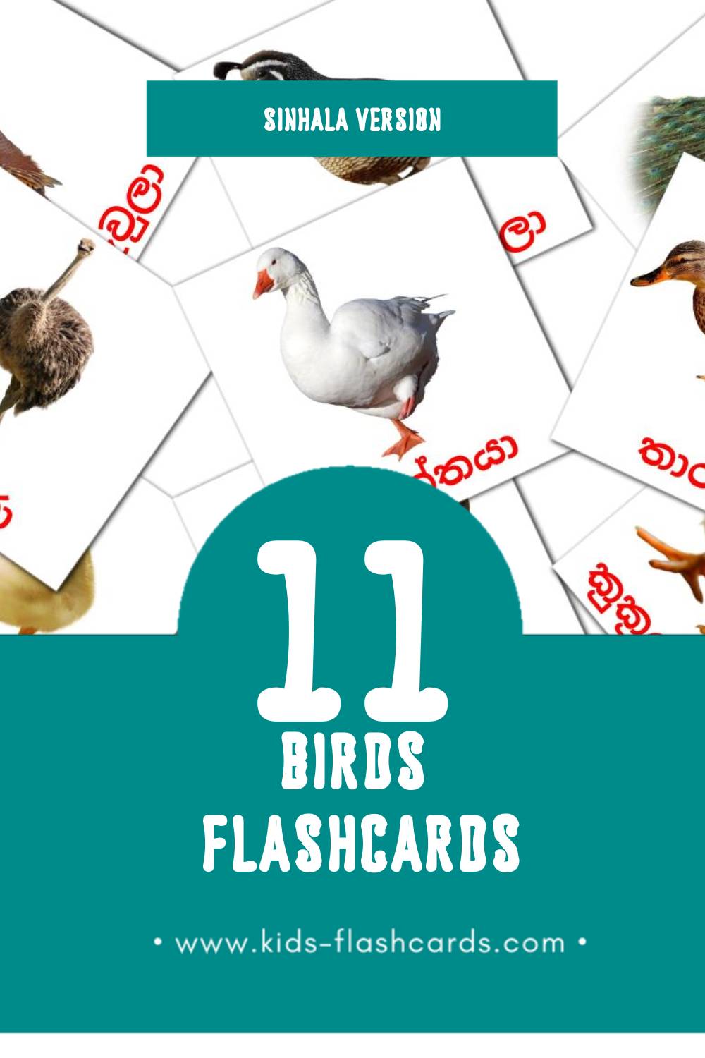 Visual කුරුල්ලන් Flashcards for Toddlers (11 cards in Sinhala)