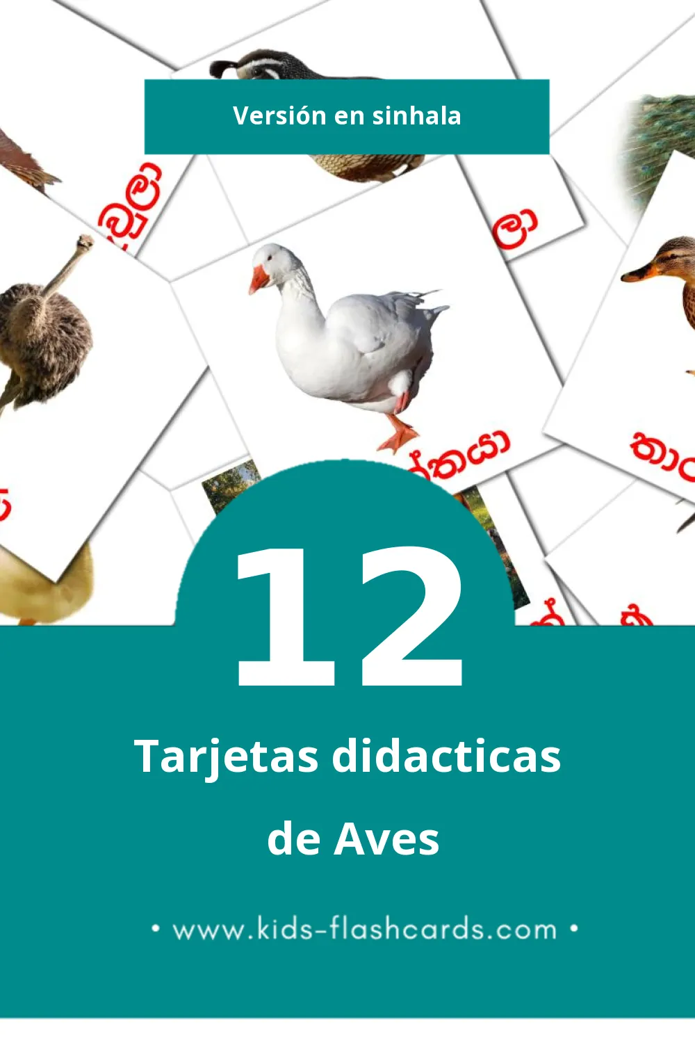 Tarjetas visuales de කුරුල්ලන් para niños pequeños (12 tarjetas en Sinhala)