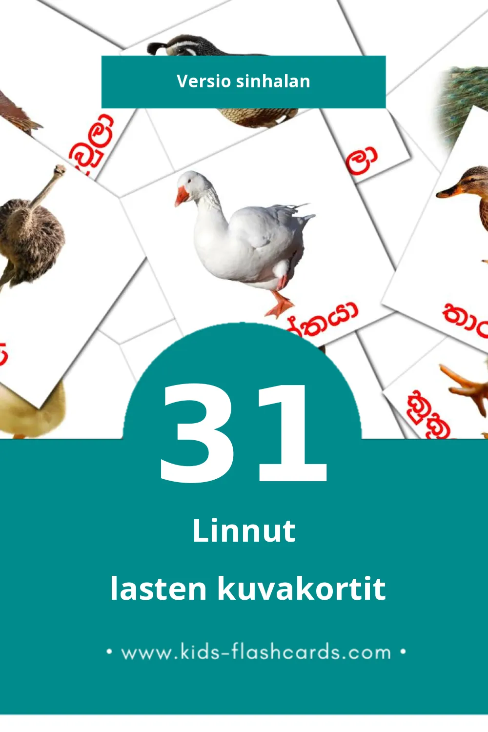 කුරුල්ලන් lasten kuvakortit pikkulapsille (31 korttia Sinhalanksi)
