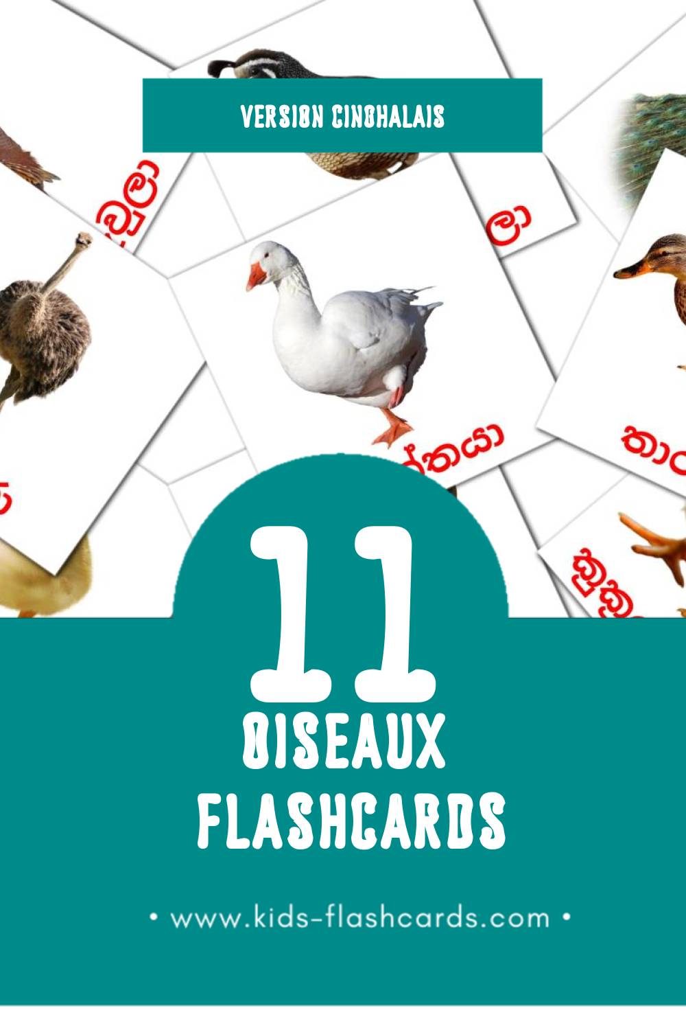 Flashcards Visual කුරුල්ලන් pour les tout-petits (11 cartes en Cinghalais)