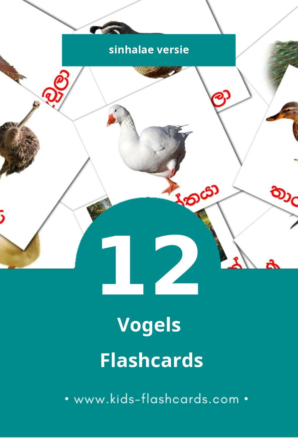 Visuele කුරුල්ලන් Flashcards voor Kleuters (12 kaarten in het Sinhala)