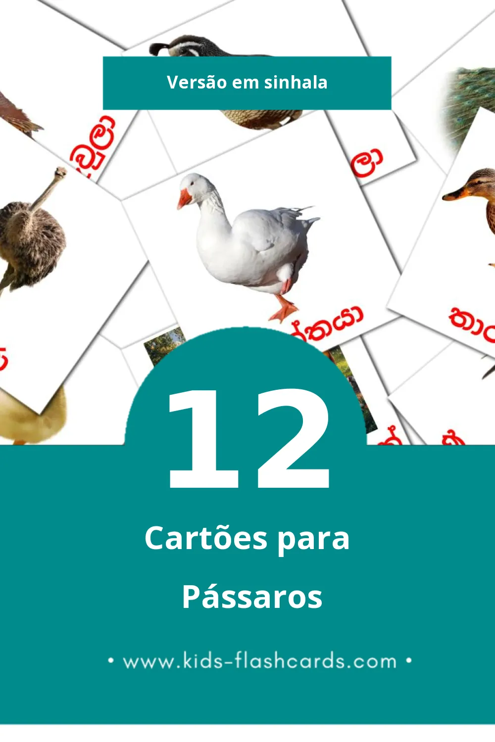 Flashcards de කුරුල්ලන් Visuais para Toddlers (12 cartões em Sinhala)