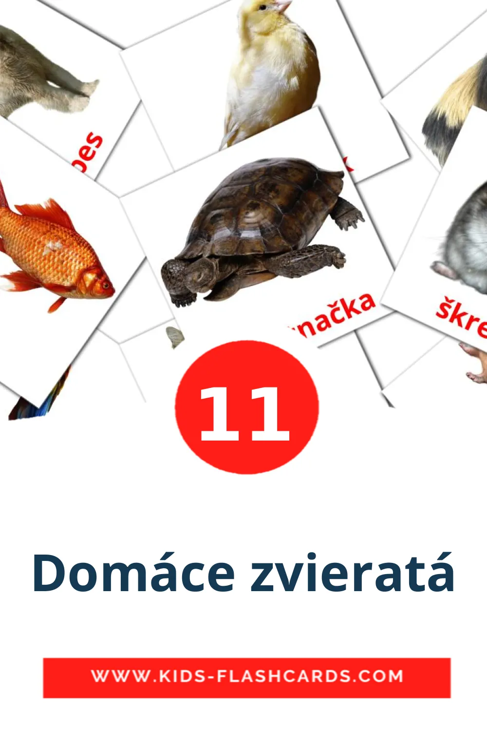 11 cartes illustrées de Domáce zvieratá pour la maternelle en slovaque