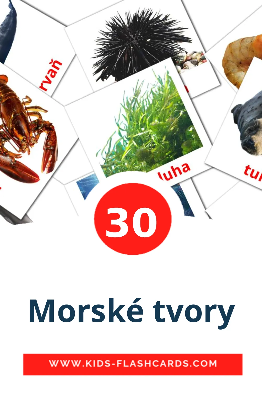 Morské tvory на словацком для Детского Сада (30 карточек)