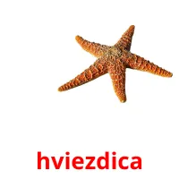 hviezdica карточки энциклопедических знаний