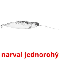 narval jednorohý карточки энциклопедических знаний