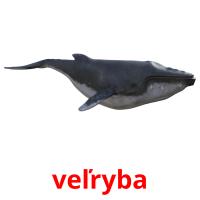 veľryba flashcards illustrate