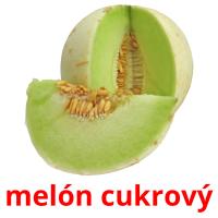 melón cukrový flashcards illustrate