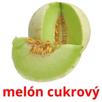 melón cukrový карточки энциклопедических знаний