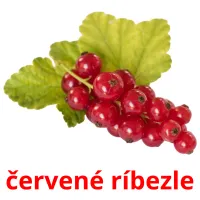 červené ríbezle карточки энциклопедических знаний