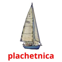 plachetnica карточки энциклопедических знаний