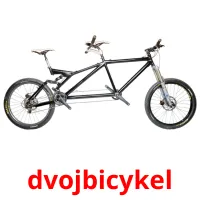 dvojbicykel карточки энциклопедических знаний