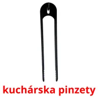 kuchárska pinzety карточки энциклопедических знаний