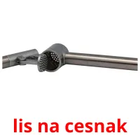 lis na cesnak карточки энциклопедических знаний