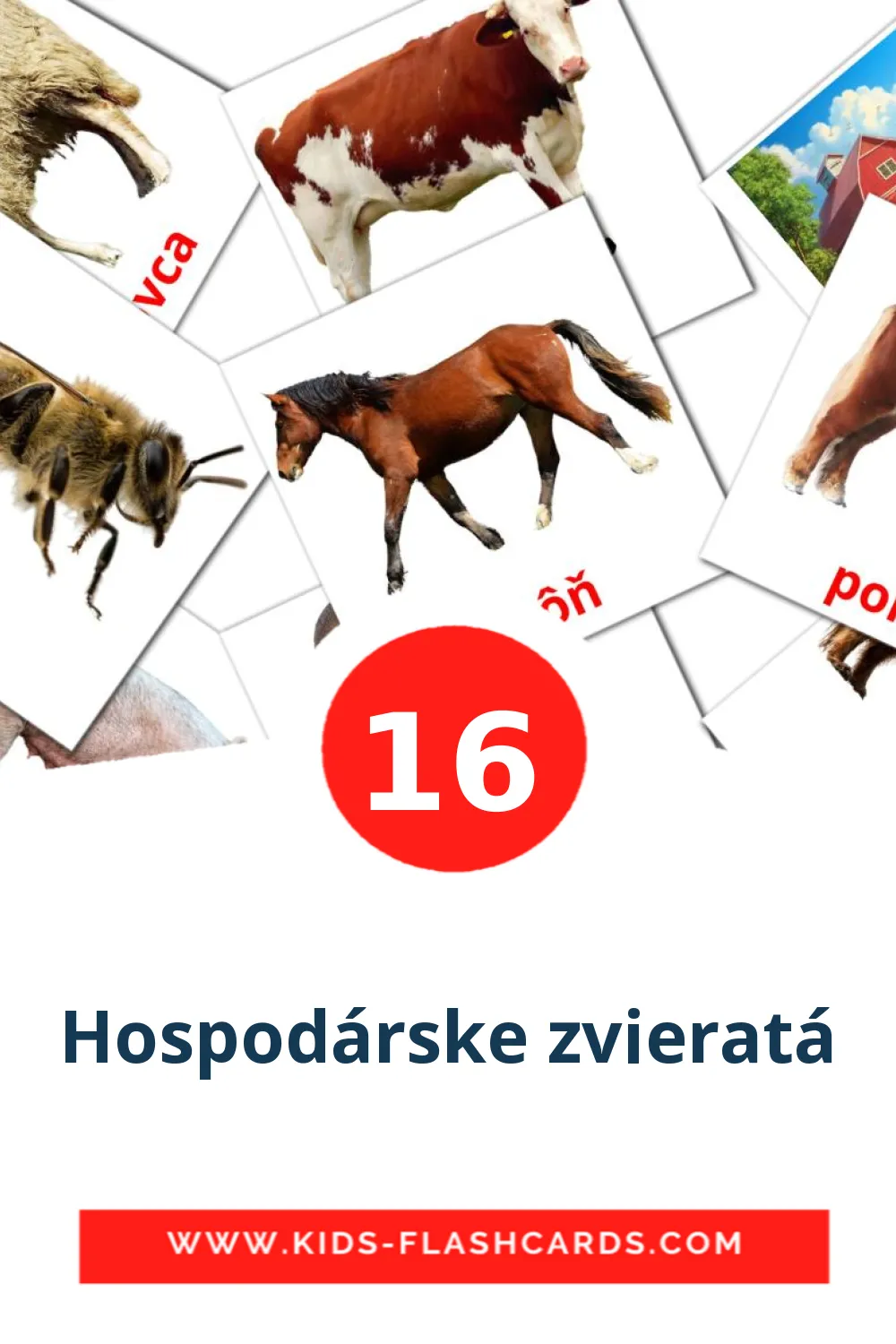 Hospodárske zvieratá на словацком для Детского Сада (16 карточек)