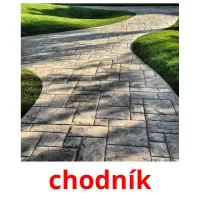 chodník карточки энциклопедических знаний