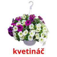 kvetináč карточки энциклопедических знаний