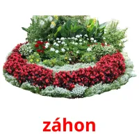 záhon карточки энциклопедических знаний