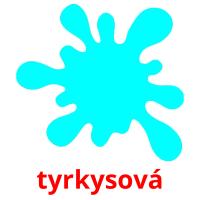 tyrkysová card for translate