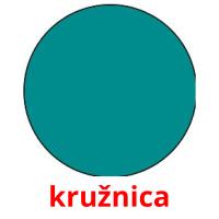 kružnica picture flashcards