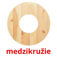 medzikružie flashcards illustrate