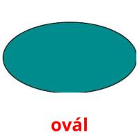 ovál picture flashcards