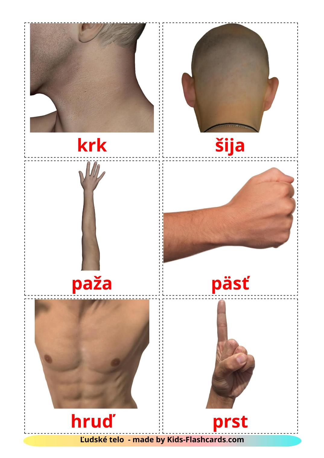 Части тела - 26 Карточек Домана на словацком