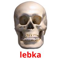 lebka picture flashcards