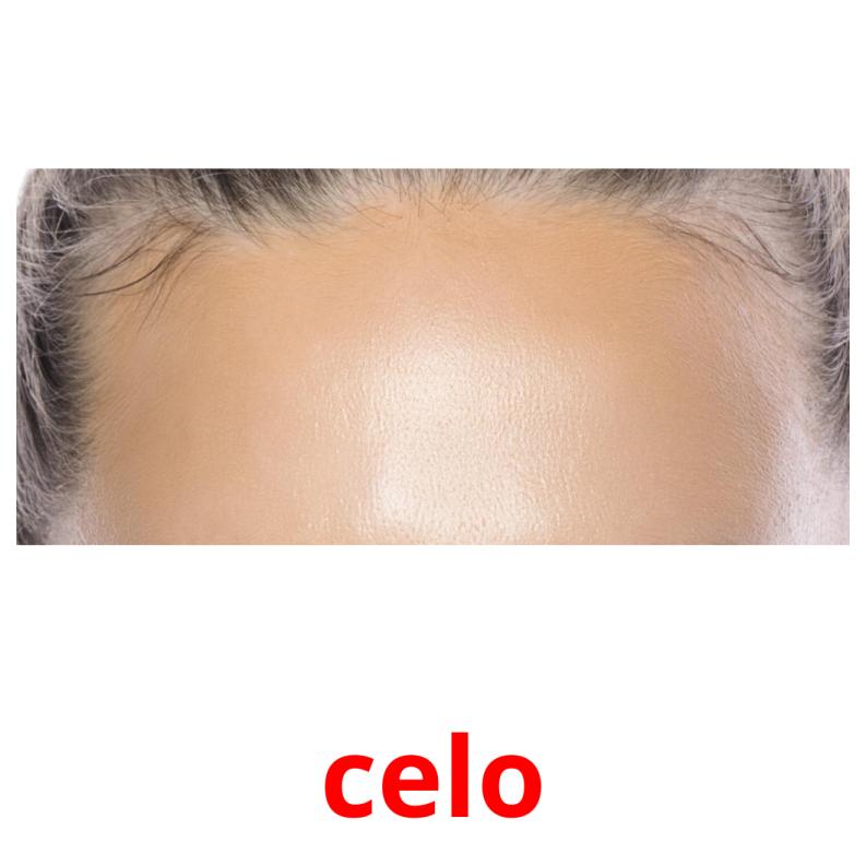 celo picture flashcards