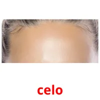 celo карточки энциклопедических знаний