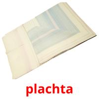 plachta card for translate