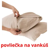 povliečka na vankúš карточки энциклопедических знаний