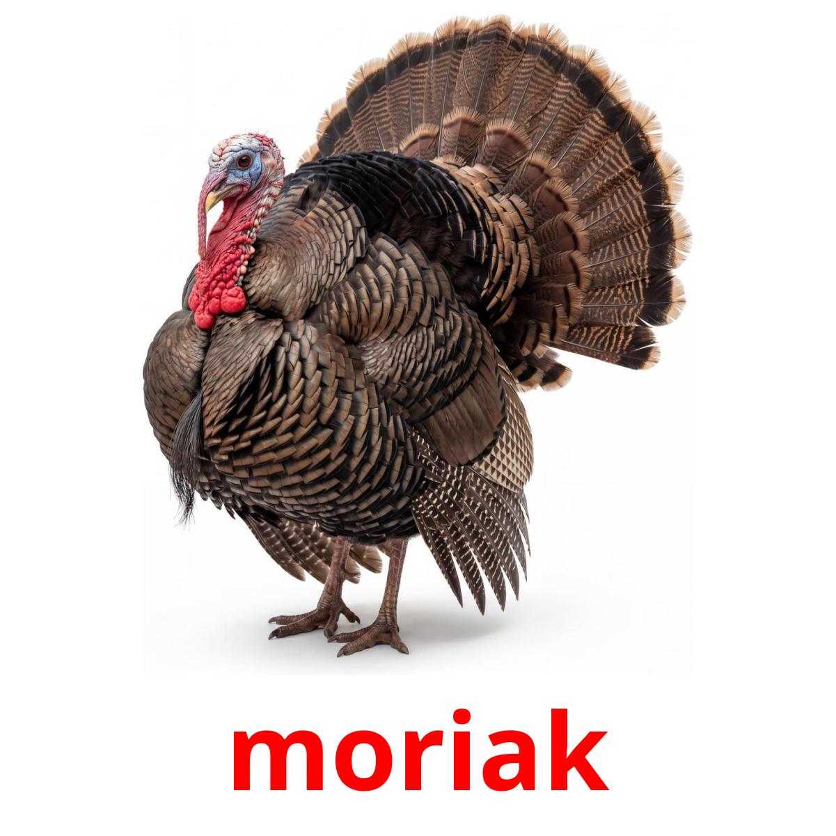 11 Tarjetas De Aprendizaje De Aves De Granja GRATIS En PDF Im genes 11 Tarjetas De Aprendizaje De Aves De Granja GRATIS En PDF Im genes