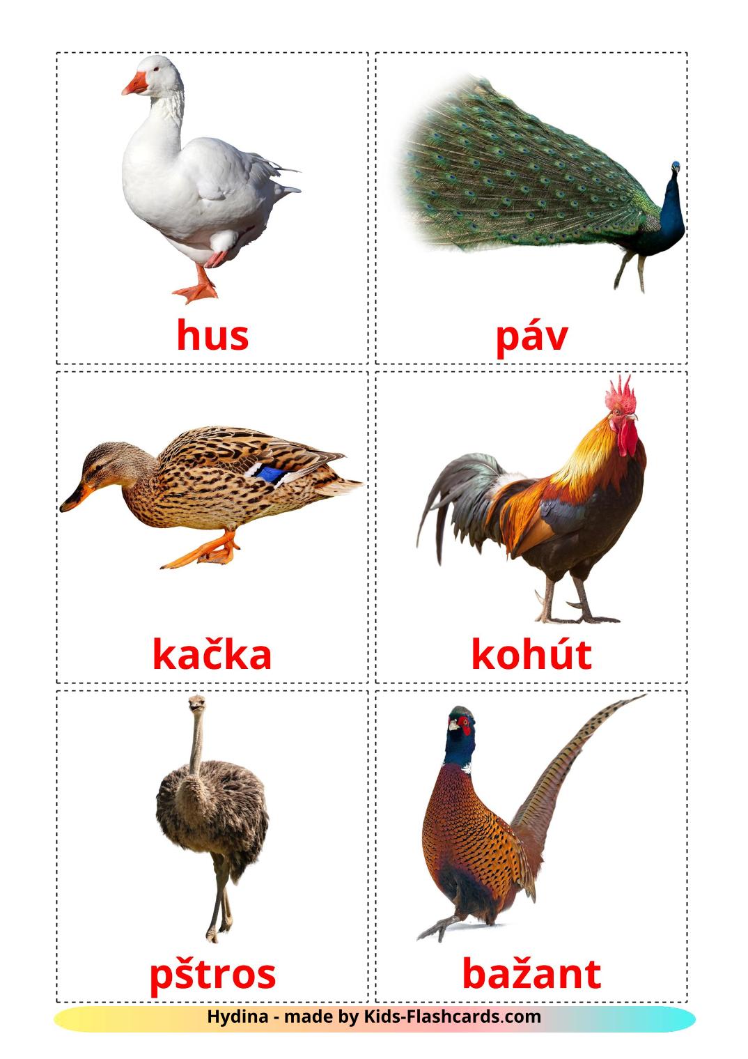 Les Oiseaux de Ferme - 11 Flashcards slovaque imprimables gratuitement