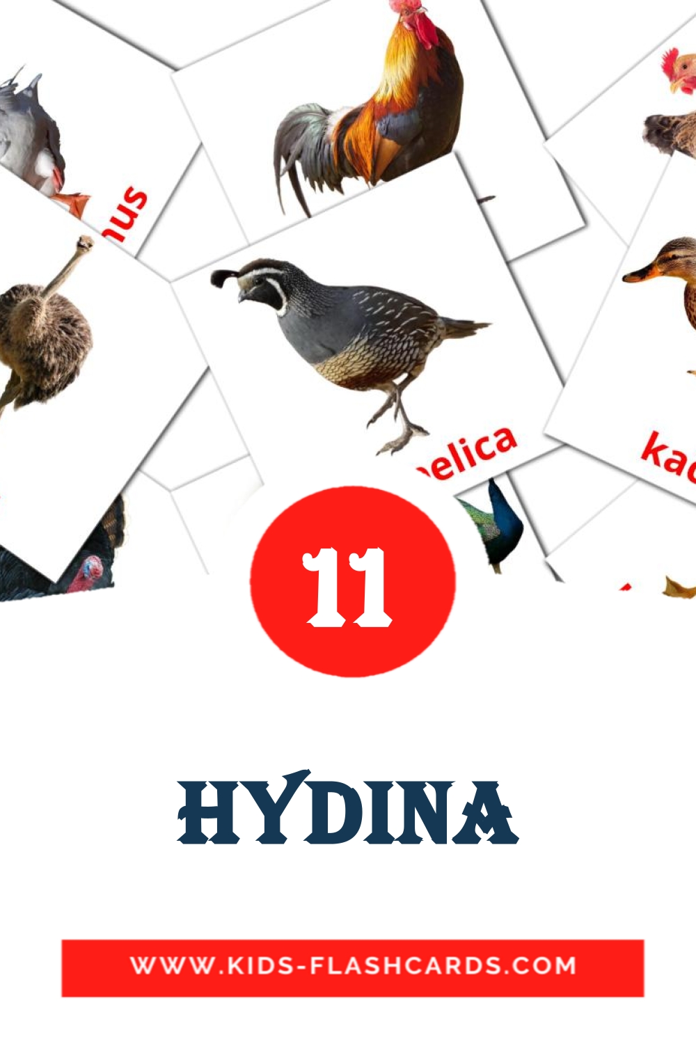 11 cartes illustrées de Hydina pour la maternelle en slovaque